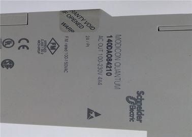 Output  Redundant Power Supply Module SCHNEIDER Automation 140-DAO-842-10
